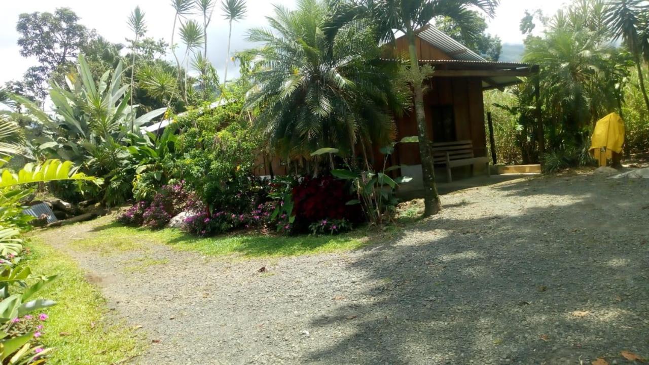 مبيت وإفطار Posada Rio Celeste In المظهر الخارجي الصورة