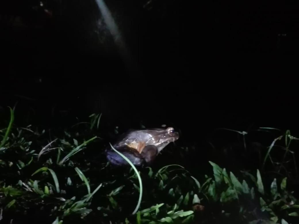 مبيت وإفطار Posada Rio Celeste In المظهر الخارجي الصورة